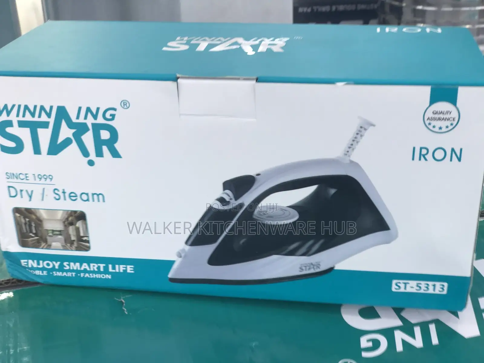 Household Portable Electric Iron With Steam Volume