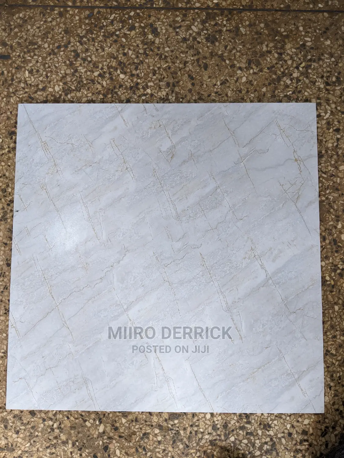 60*60 Porcelain Tiles