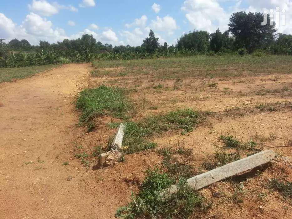 Plot On Quick Sale In Buloba