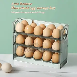 Egg Storage Box