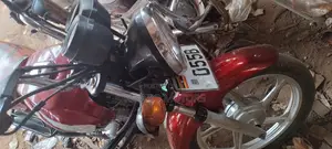 New TVS HLX 125 2022 Pink