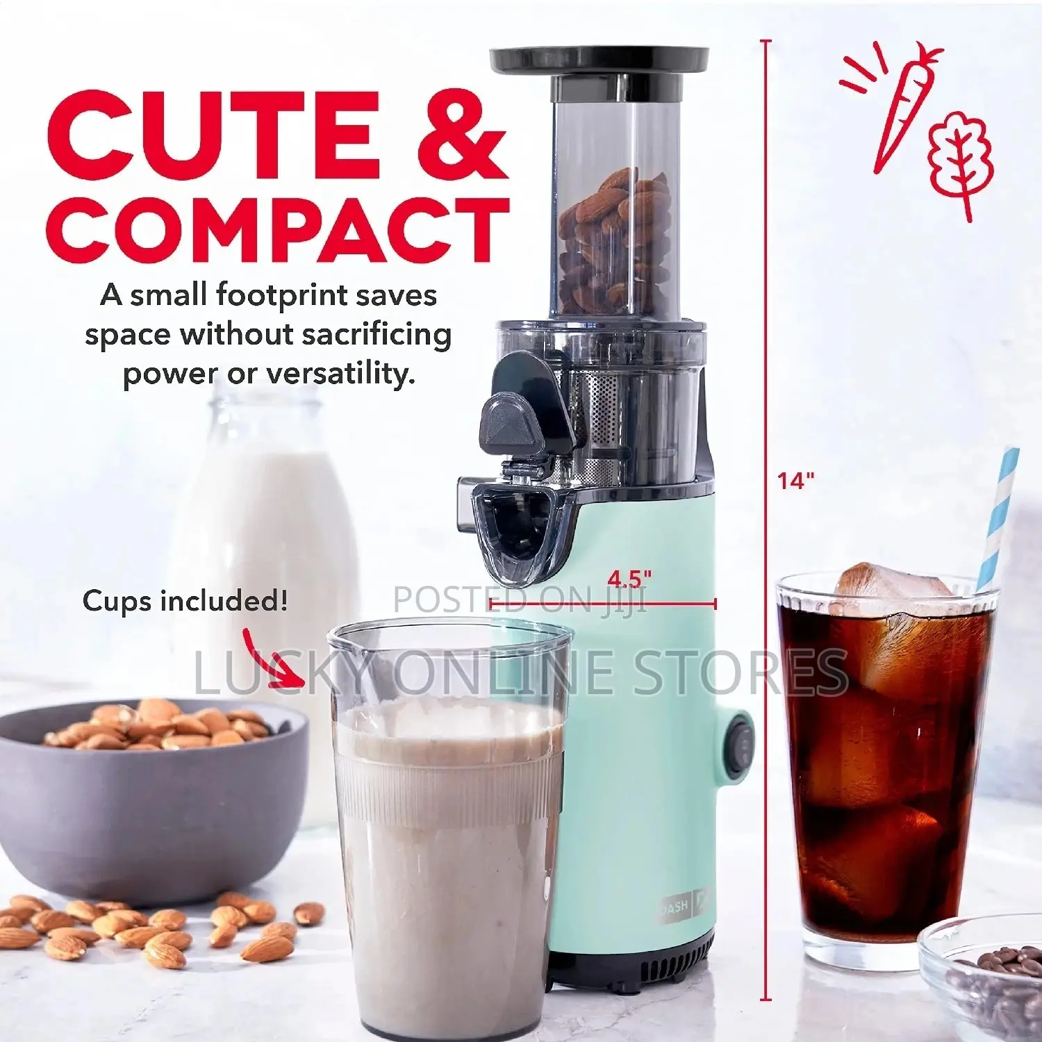 Compact Slow Juicer