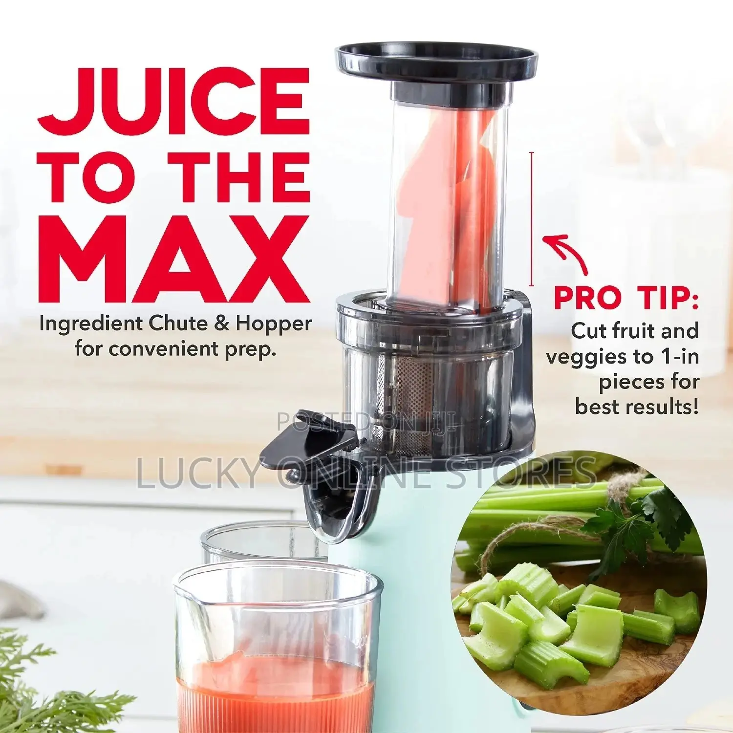 Compact Slow Juicer