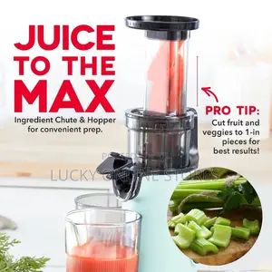 Compact Slow Juicer
