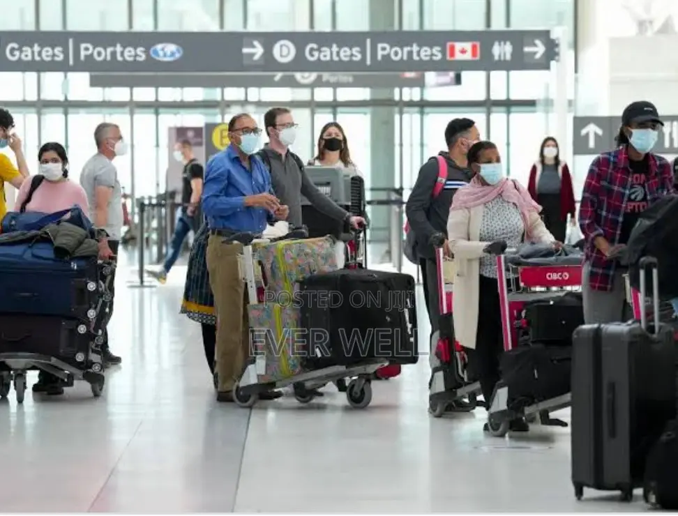 The Travel Connection