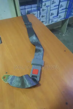 Passenger Safety Seat Belts