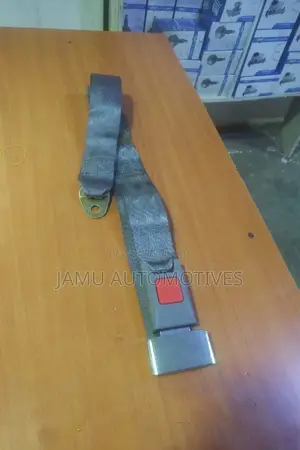 Passenger Safety Seat Belts