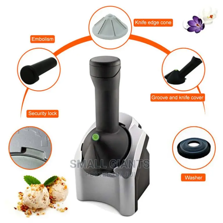 Home Fruit Ice Cream Maker