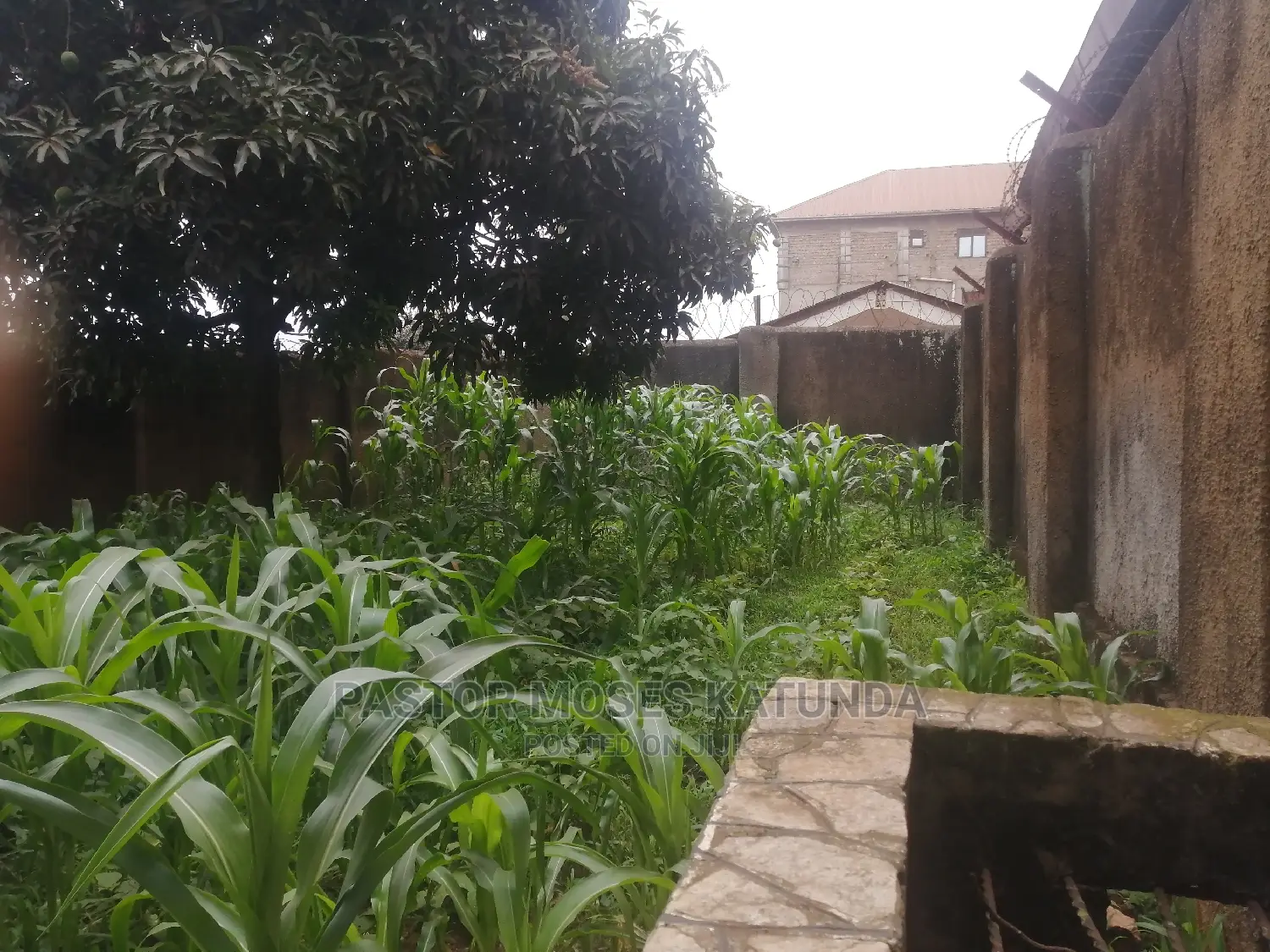 Furnished 3bdrm House in Najanankumbi, Makindye for Sale