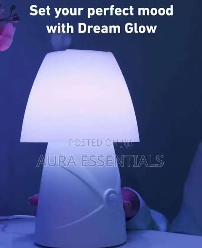 Sensor Brite Night Light Lamp