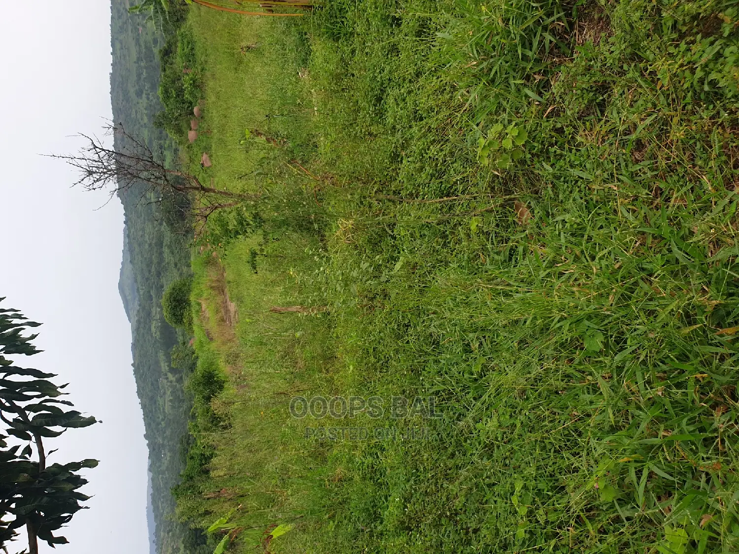 15 Acars in Single Lutete Hoima Road for Sale 20m Per Acar
