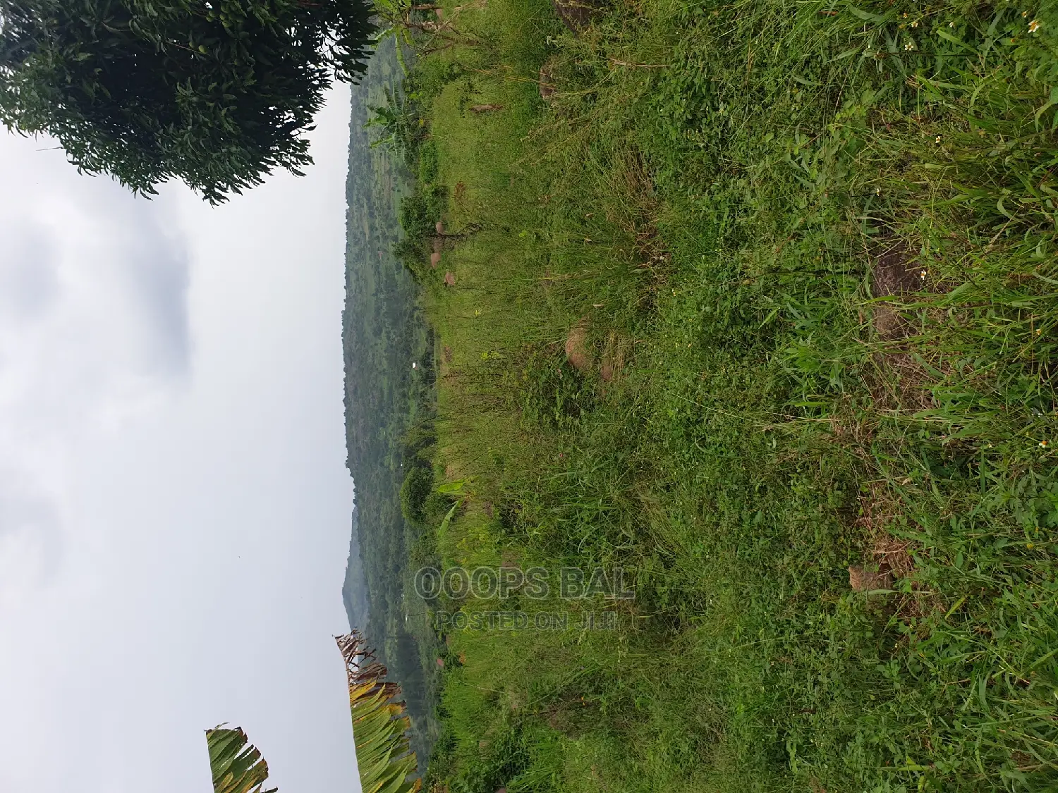 15 Acars in Single Lutete Hoima Road for Sale 20m Per Acar