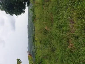 15 Acars in Single Lutete Hoima Road for Sale 20m Per Acar