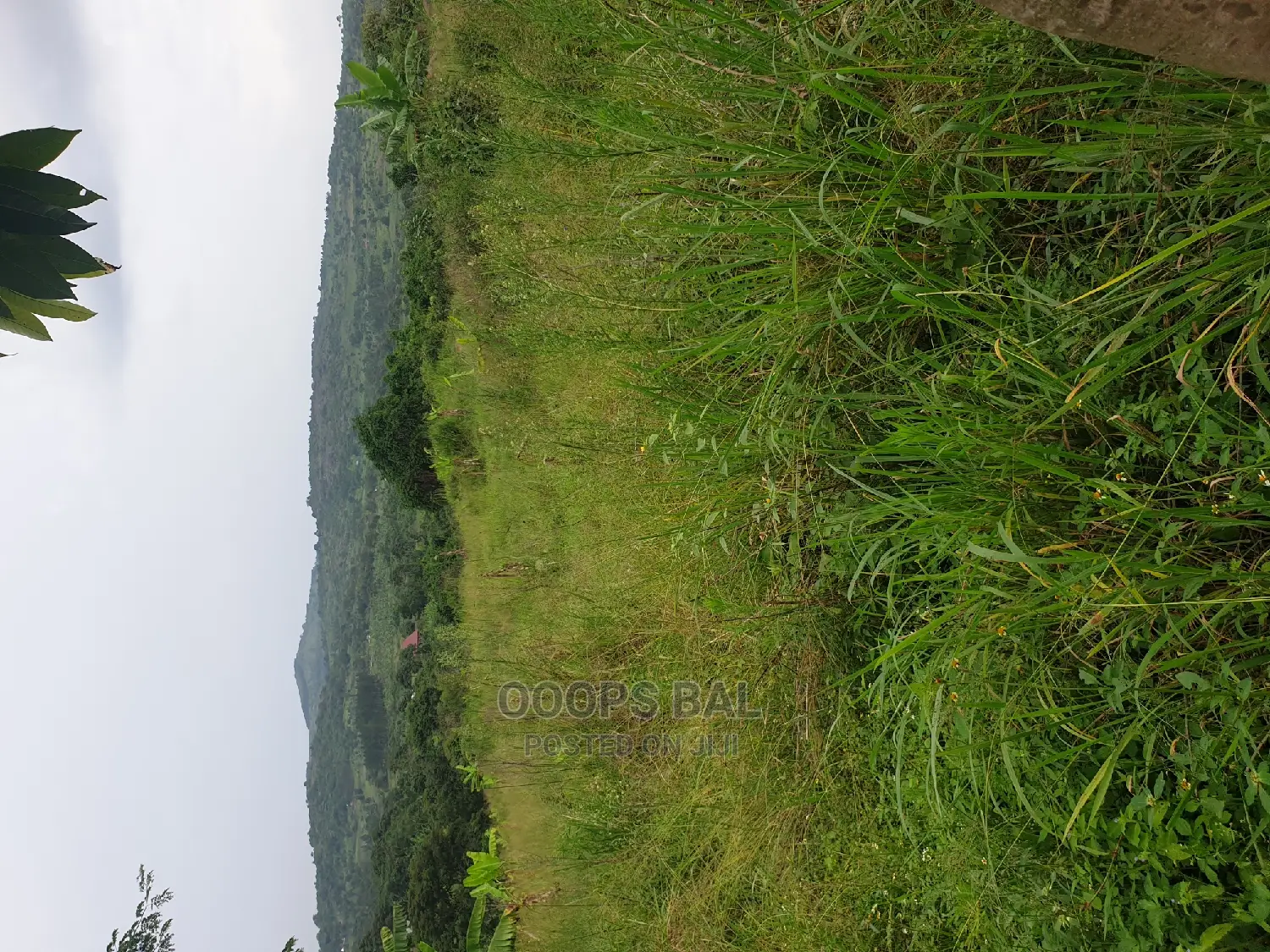 15 Acars in Single Lutete Hoima Road for Sale 20m Per Acar