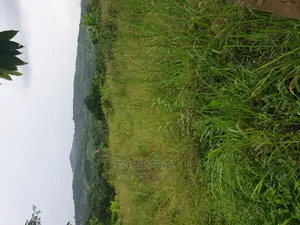 15 Acars in Single Lutete Hoima Road for Sale 20m Per Acar