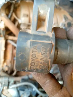 Ignition Coils.