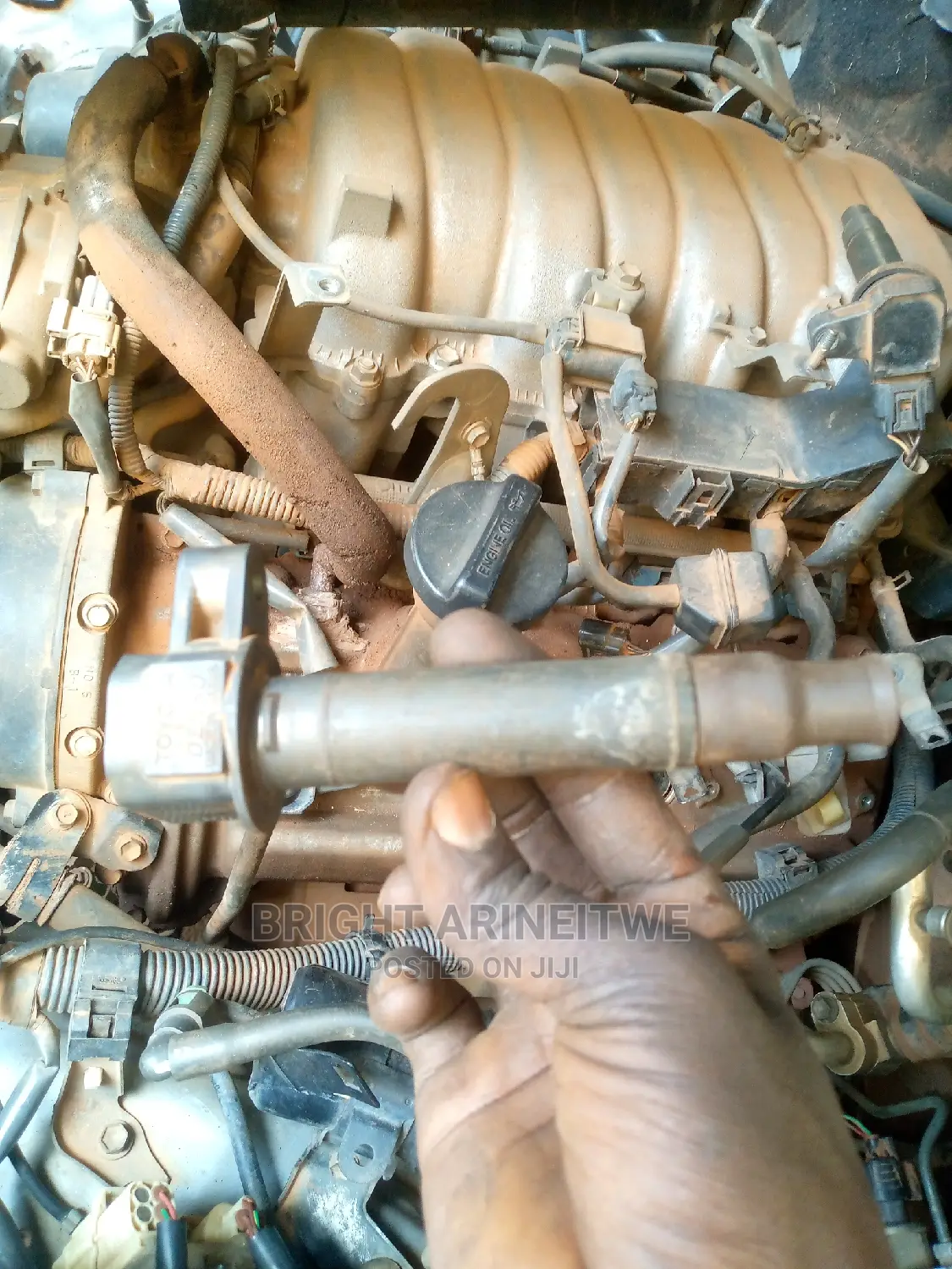 Ignition Coils.