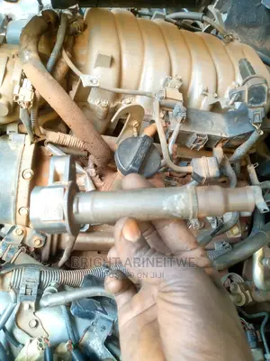 Ignition Coils.