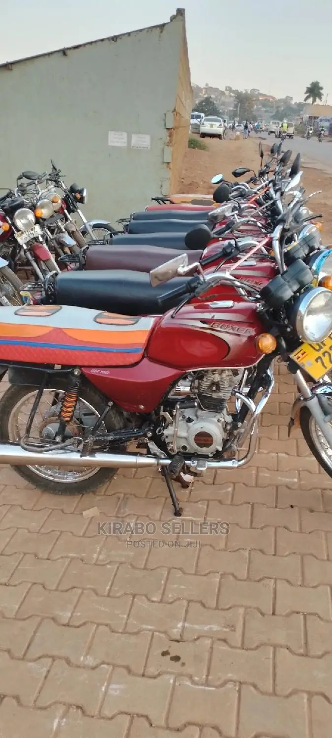 Bajaj Boxer 2023 Purple
