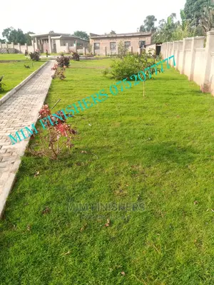 Compound Designers and Landscaping