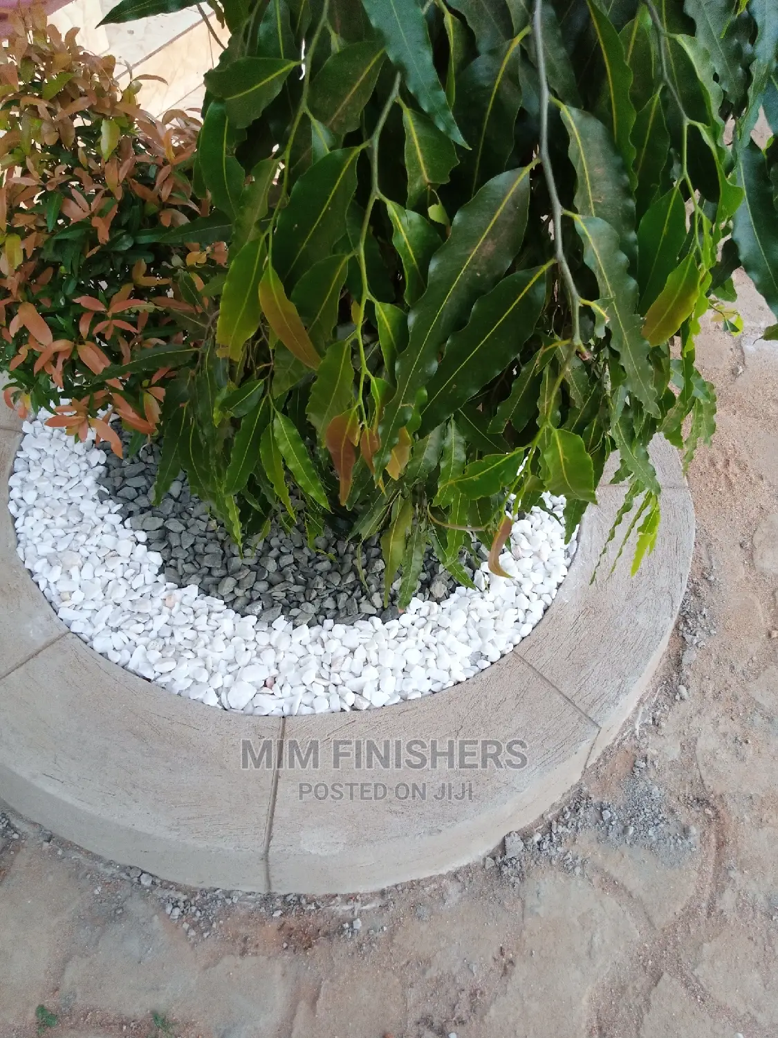Compound Designers and Landscaping