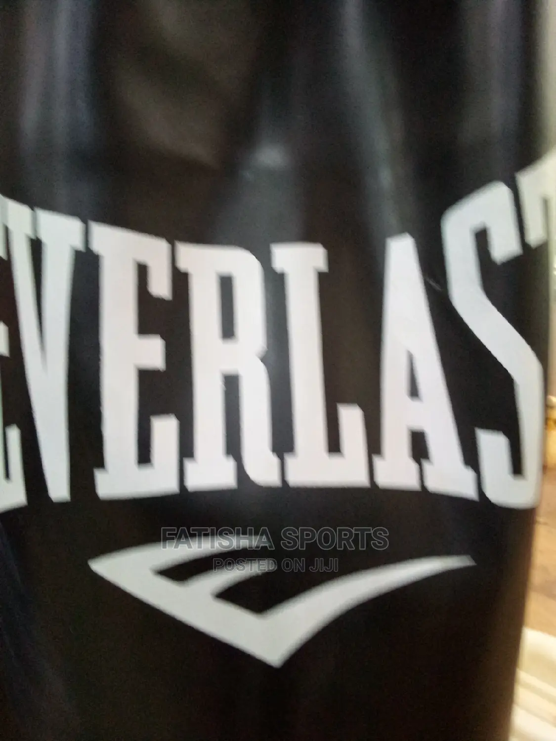 Punching Bag Everlast