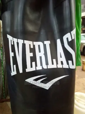 Punching Bag Everlast