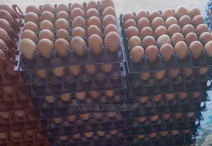 Photo - Ecosus Farm Eggs