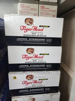120ah Tiger Head Battery