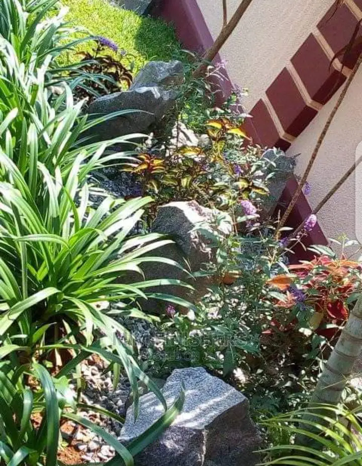 Compound Designing With Stones