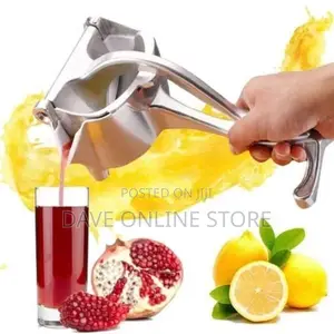 Fruit Juice Extractor
