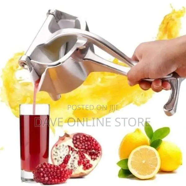 Fruit Juice Extractor