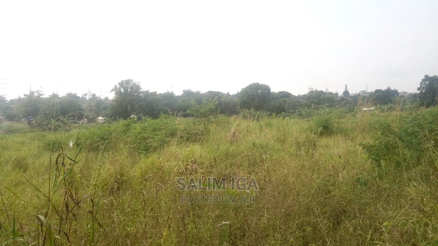 Industrial Piece of Land