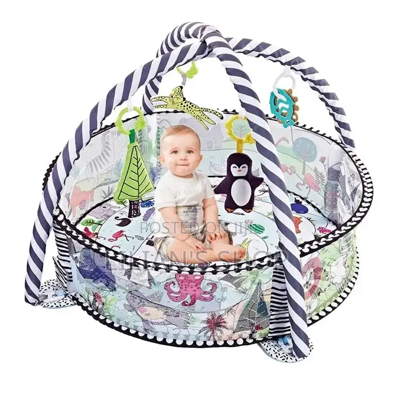 Baby Gym Play Mat