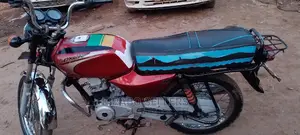 Bajaj Boxer 2020 Pink