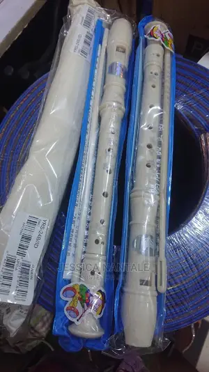 Flutes Recorder