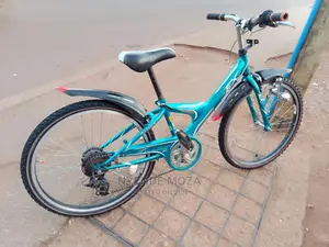 Blue Bridgestone Size 24.3