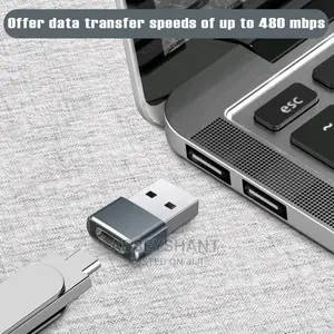 Type C Female to Usb Adaptor