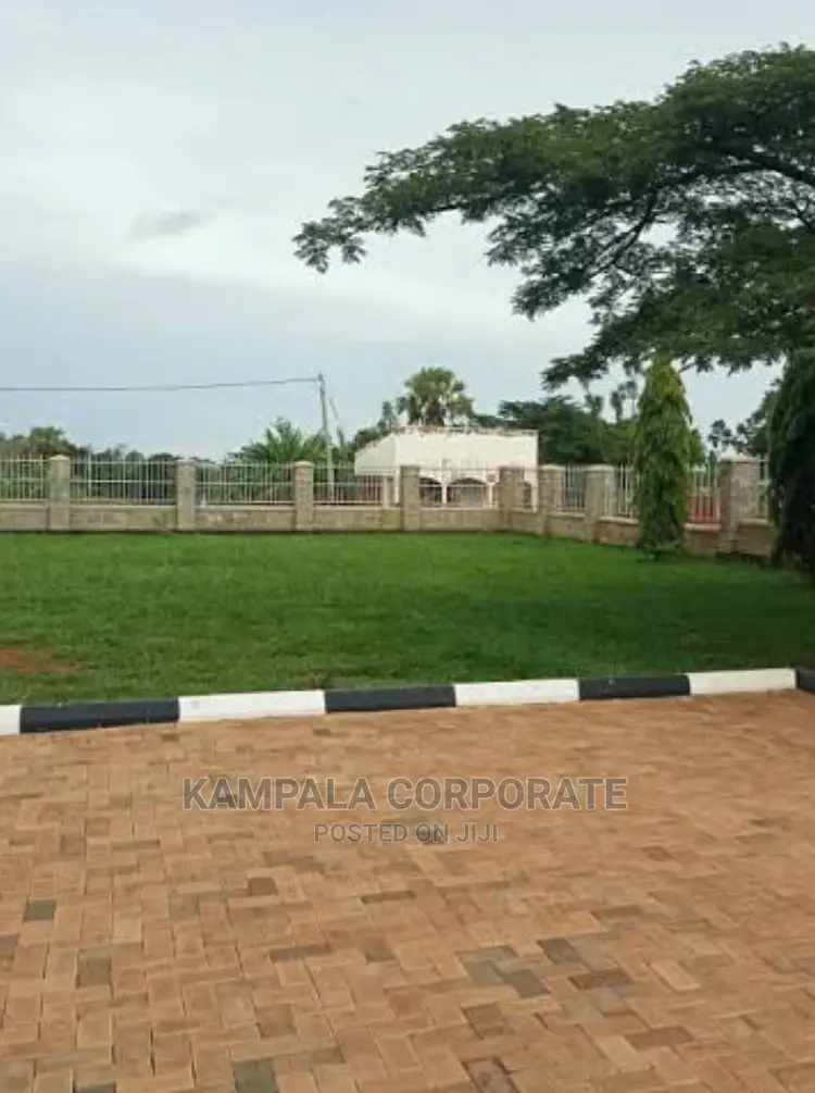 Types of Compound Grass for Sale