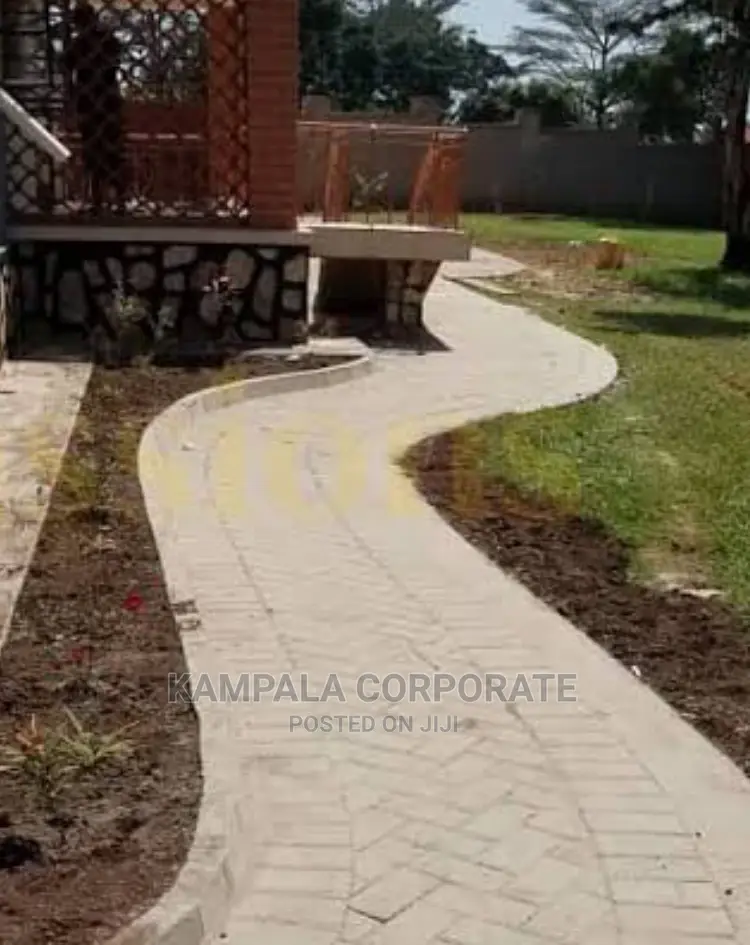 Types of Compound Grass for Sale