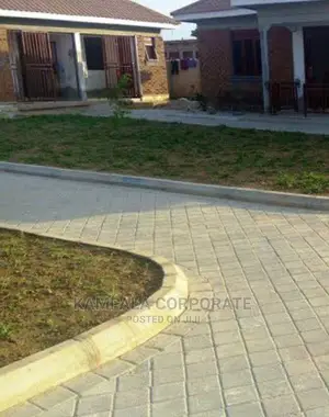 Types of Compound Grass for Sale