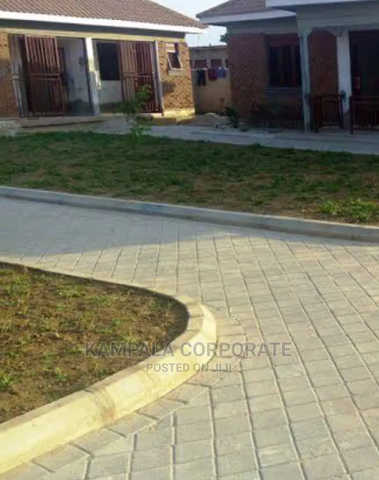 Types of Compound Grass for Sale