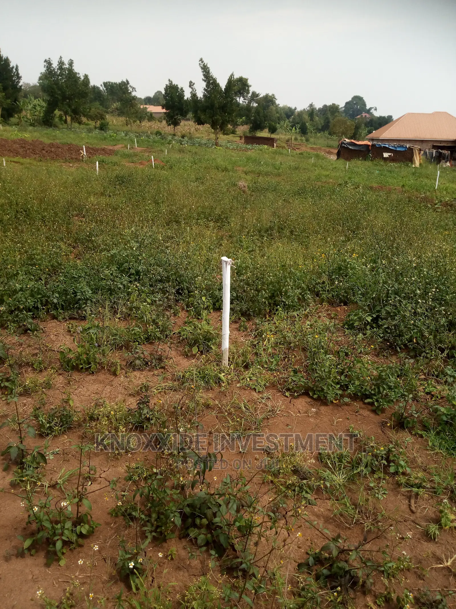 Plot for Sale 100x50ft at 20m Ugx Lukwaga Town Sentema Road