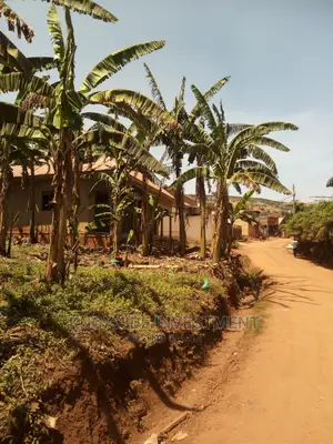 Plot for Sale 50x50ft at 15m Ugx Town Good Neigboured