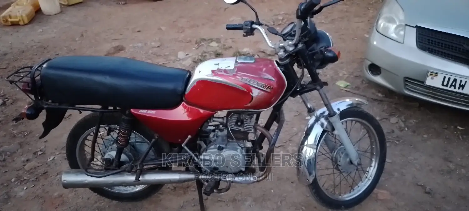 Bajaj Boxer 2018 Green