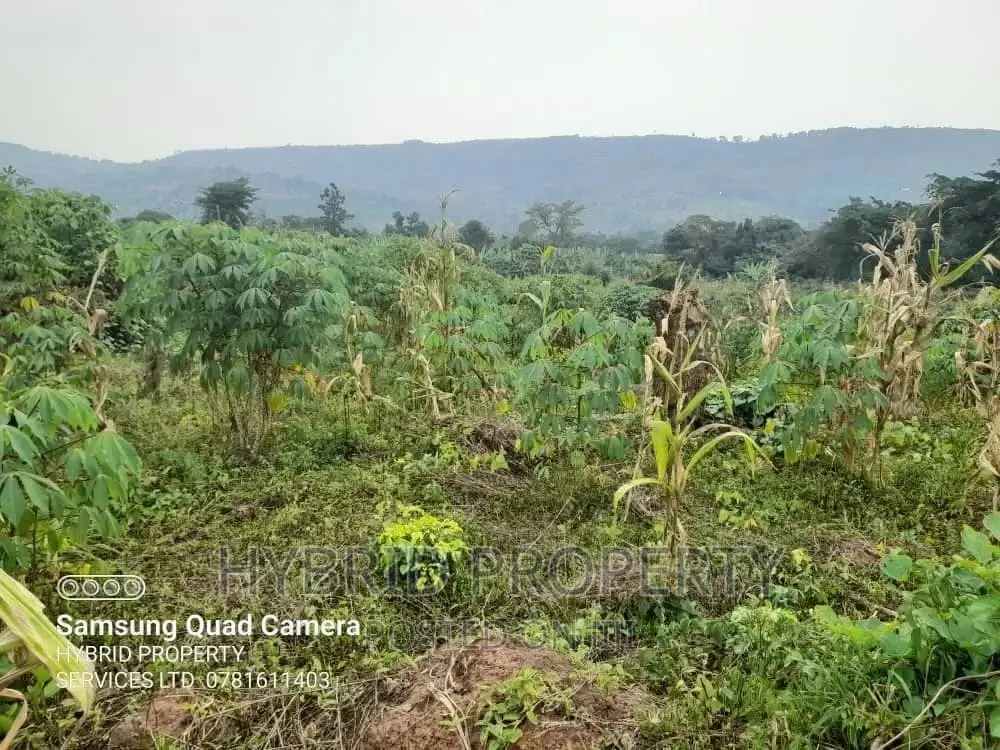 8acres of Land for Sale at Namayumba Budaali~Hoima Road.