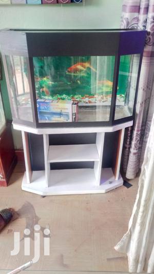 Photo - Corner Tank Aquarium