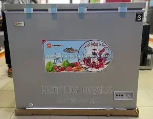 Sayona 250L Chest Freezer _ Silver