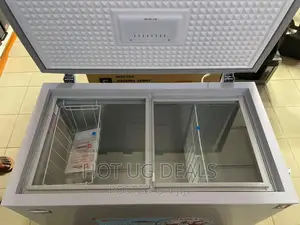 Sayona 250L Chest Freezer _ Silver