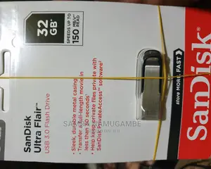 Flash Disks